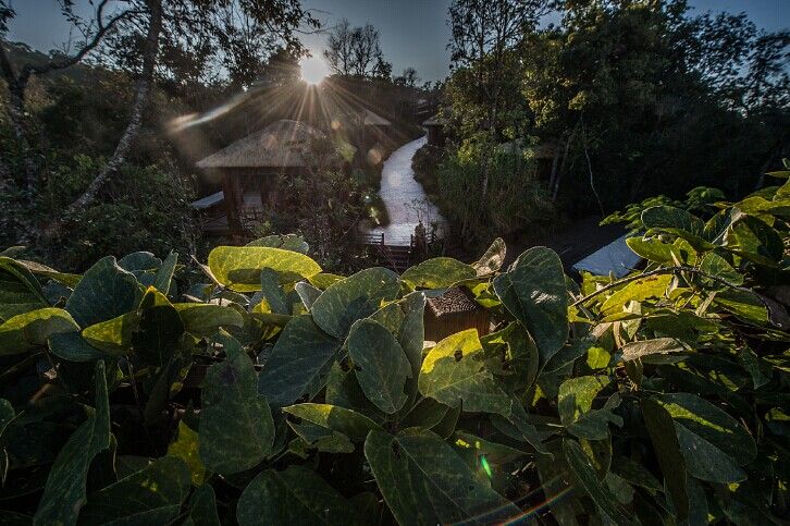 G:gz湄公河集团概况新建文件夹 (3)QQ图片20141211164349.jpg