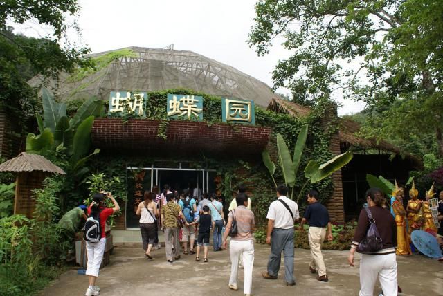 蝴蝶园