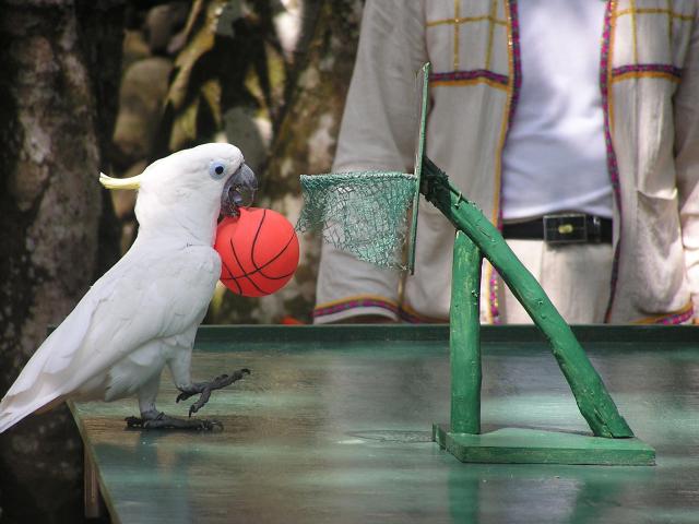 C:Documents and SettingsAdministrator桌面网站专员图片配图景区景点野象谷.jpg