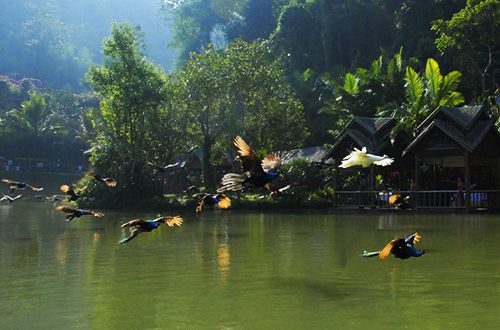 C:Documents and SettingsAdministrator桌面网站专员图片配图新建文件夹 (8)31021034527430.jpg C:Documents and SettingsAdministrator桌面网站专员图片配图新建文件夹 (8)31021034527430.jpg