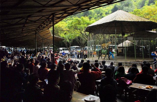 C:Documents and SettingsAdministrator桌面网站专员图片配图景区景点西双版纳原始森林公园动物表演.jpg