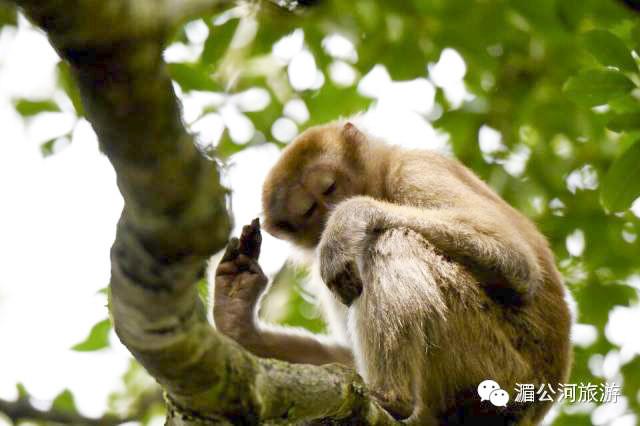 C:Documents and SettingsAdministrator桌面新建文件夹图片18.jpg