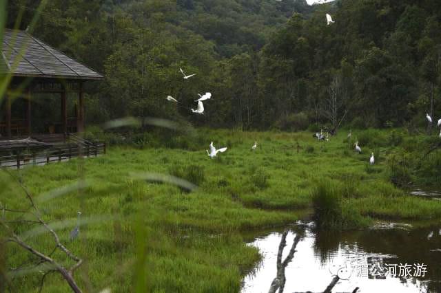 C:Documents and SettingsAdministrator桌面新建文件夹图片12.jpg