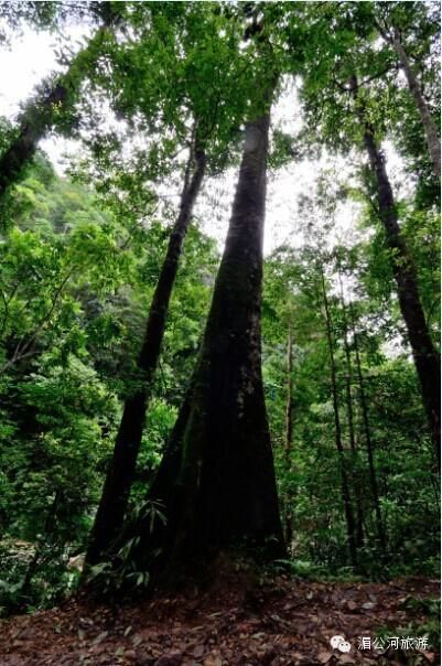 C:Documents and SettingsAdministrator桌面新建文件夹图片14.jpg