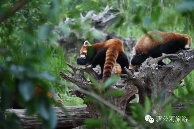 C:Documents and SettingsAdministrator桌面新建文件夹图片16.jpg