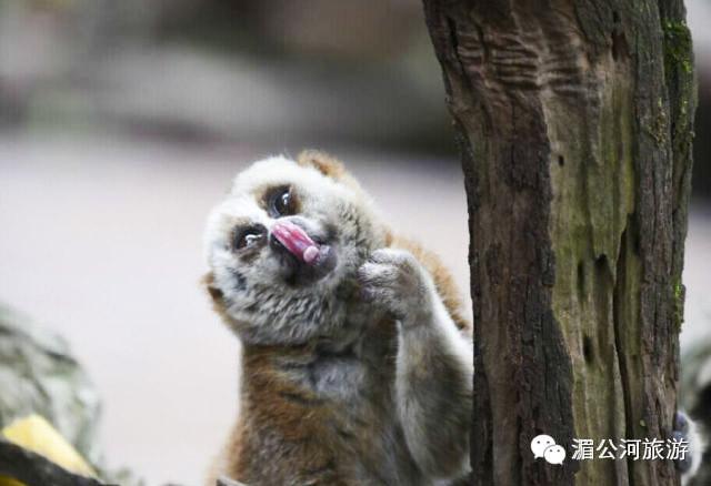 C:Documents and SettingsAdministrator桌面新建文件夹图片17.jpg