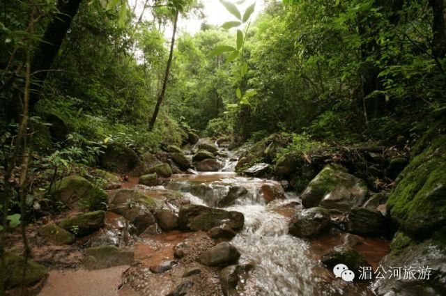 C:Documents and SettingsAdministrator桌面新建文件夹图片13.jpg