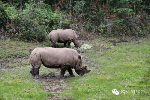 C:Documents and SettingsAdministrator桌面新建文件夹图片15.jpg