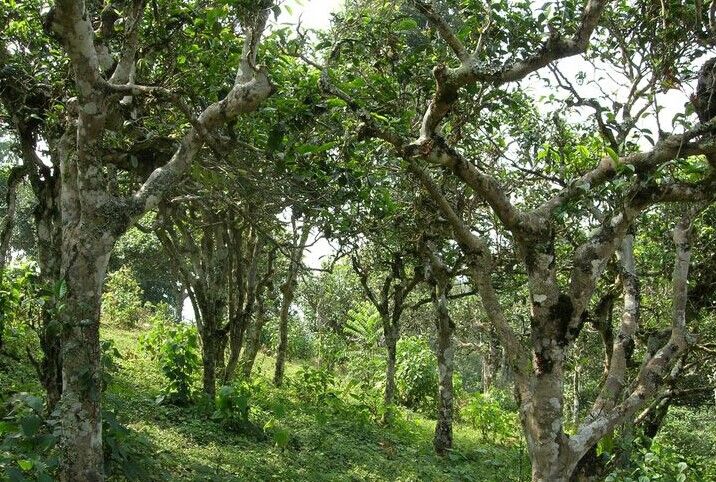 C:Documents and SettingsAdministrator桌面QQ图片20141211115501.jpg