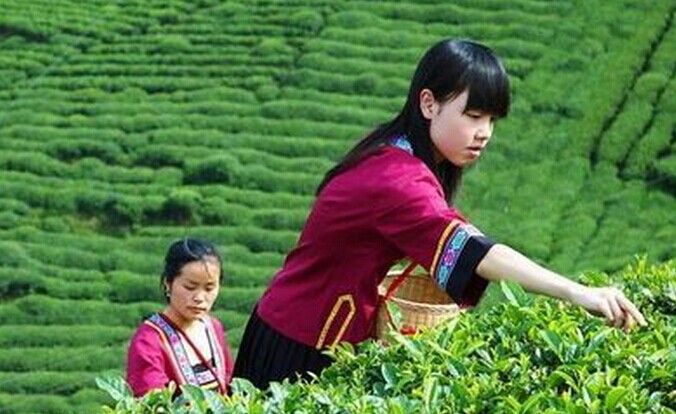 C:Documents and SettingsAdministrator桌面QQ图片20141211115530.jpg