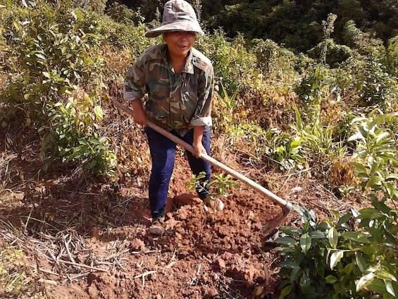 C:Documents and SettingsAdministrator桌面网站专员图片配图新建文件夹 (7)图片16.jpg